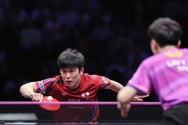 关于法国队力克韩国队，张本智和状态火热的信息