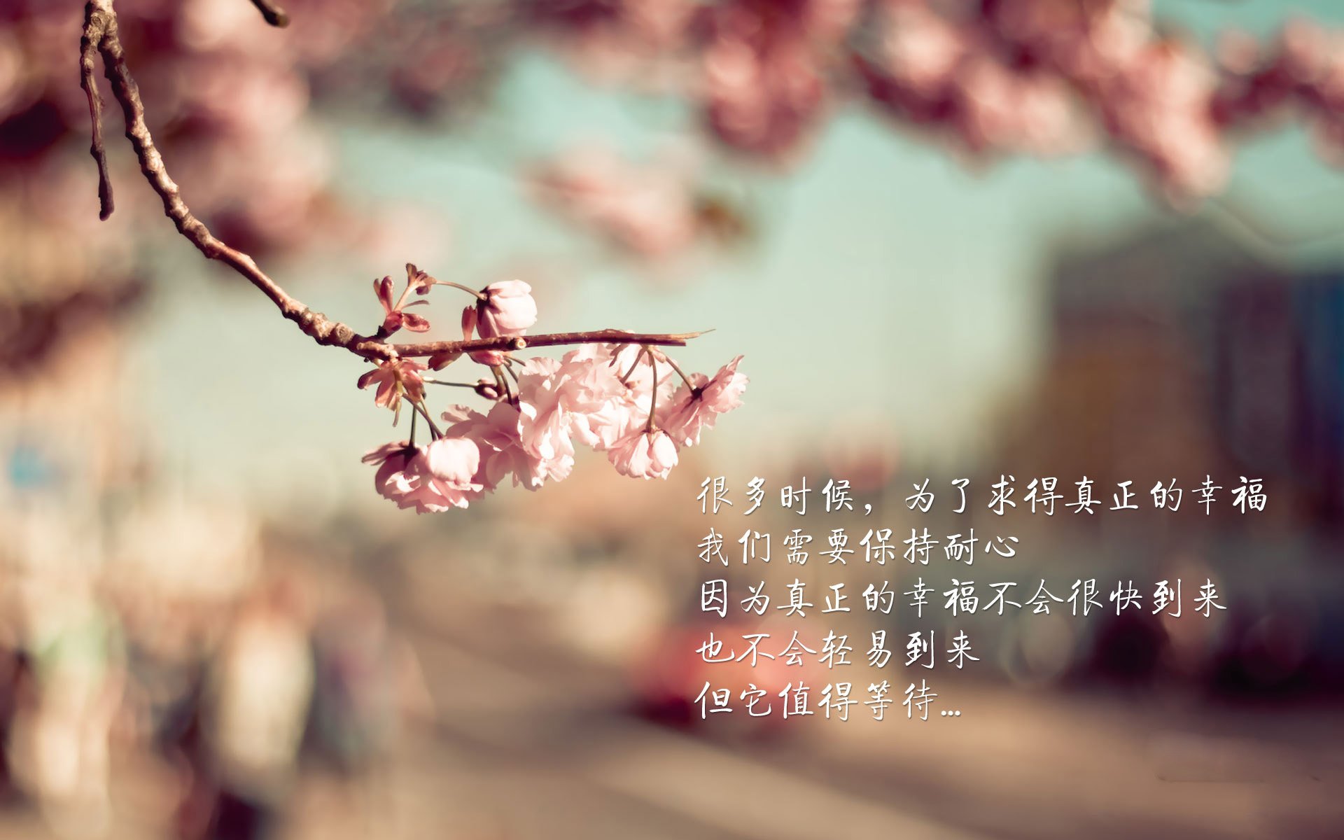 终场哨前的魔法,贝林厄姆—北欧童话的终结者