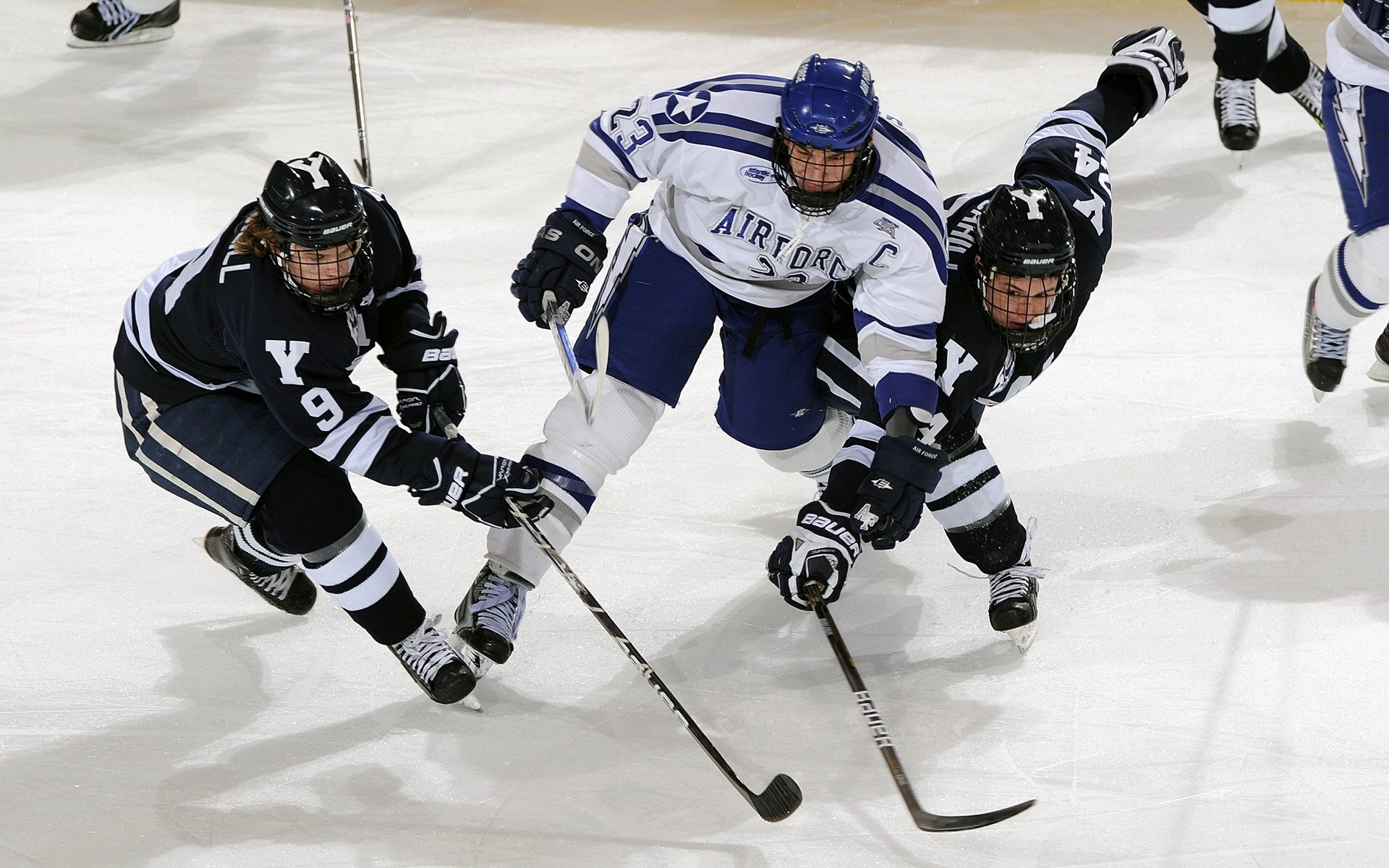 年度焦点之战之夜，锡安以野兽之姿扛起全队独舞