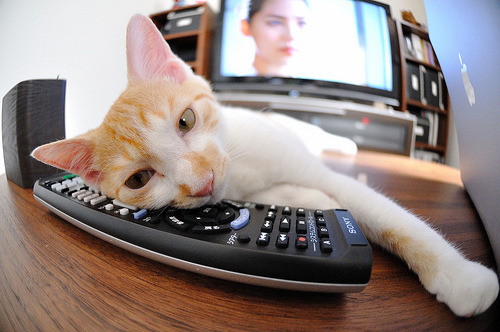 当富安健洋见证葡萄牙黄昏之战,中国足球的镜中独白