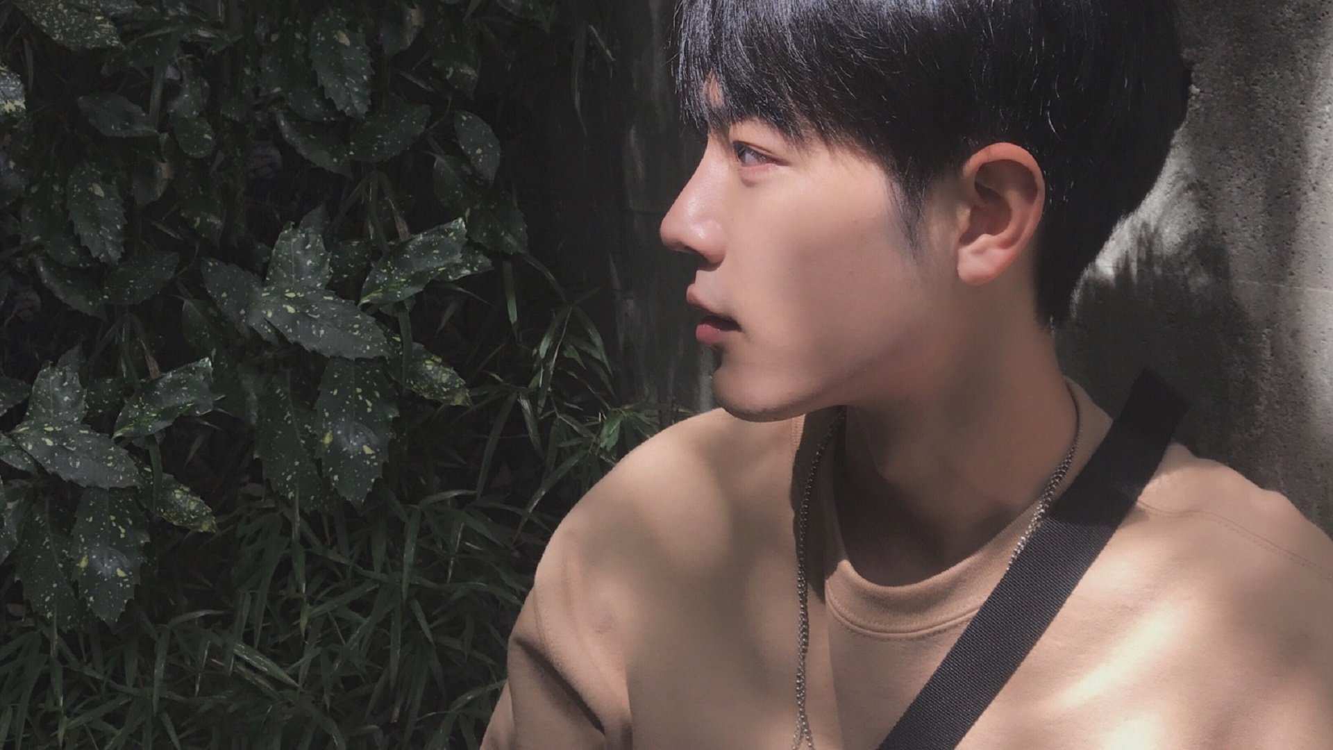 无法阻挡的东契奇与冰冷的魔术，篮球世界里个人英雄与团队胜利的交错乐章