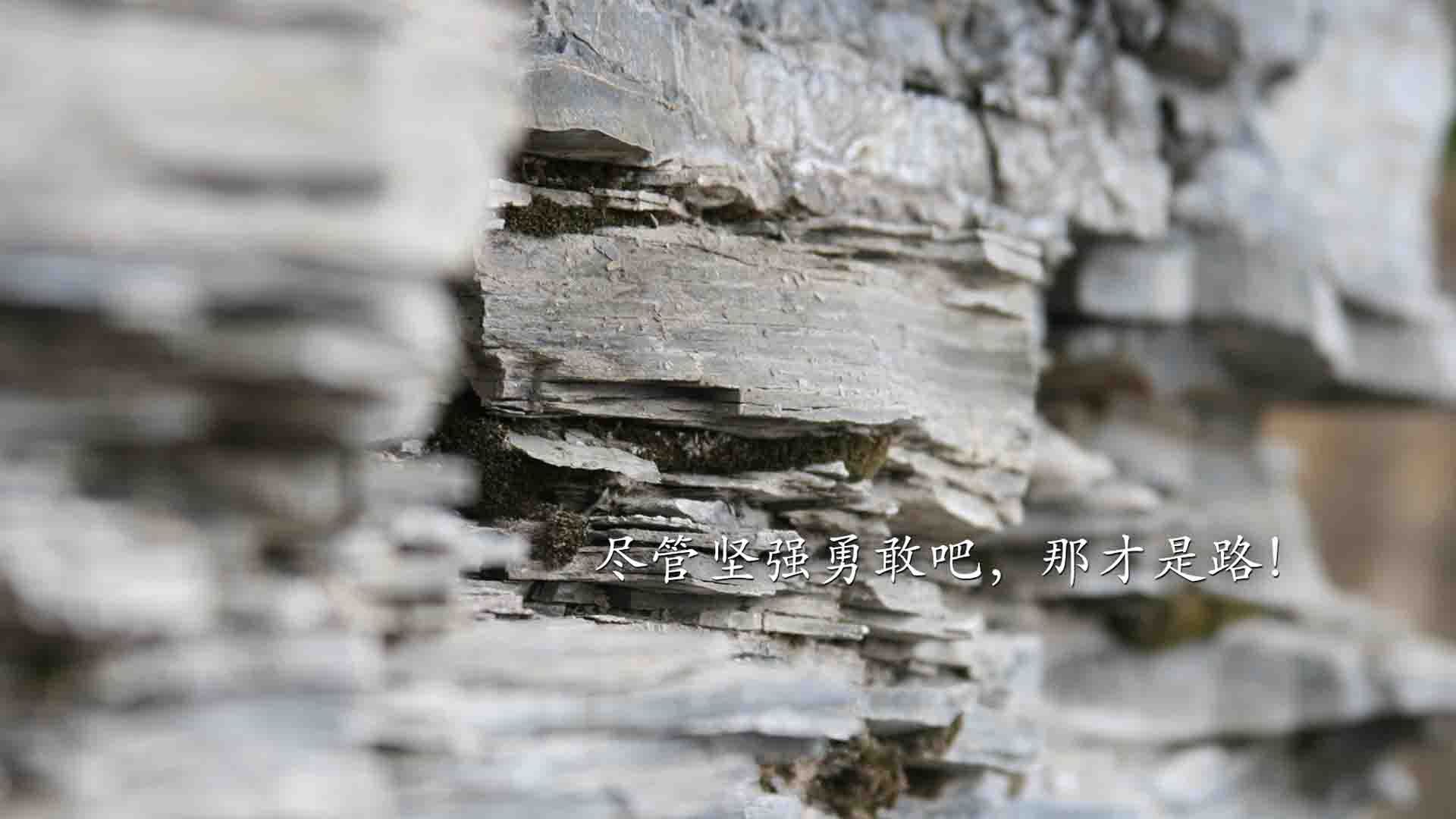 北欧神话的独白,当B费的秒表在补时第7分钟停摆,瑞典为2026世界杯写下唯一剧本
