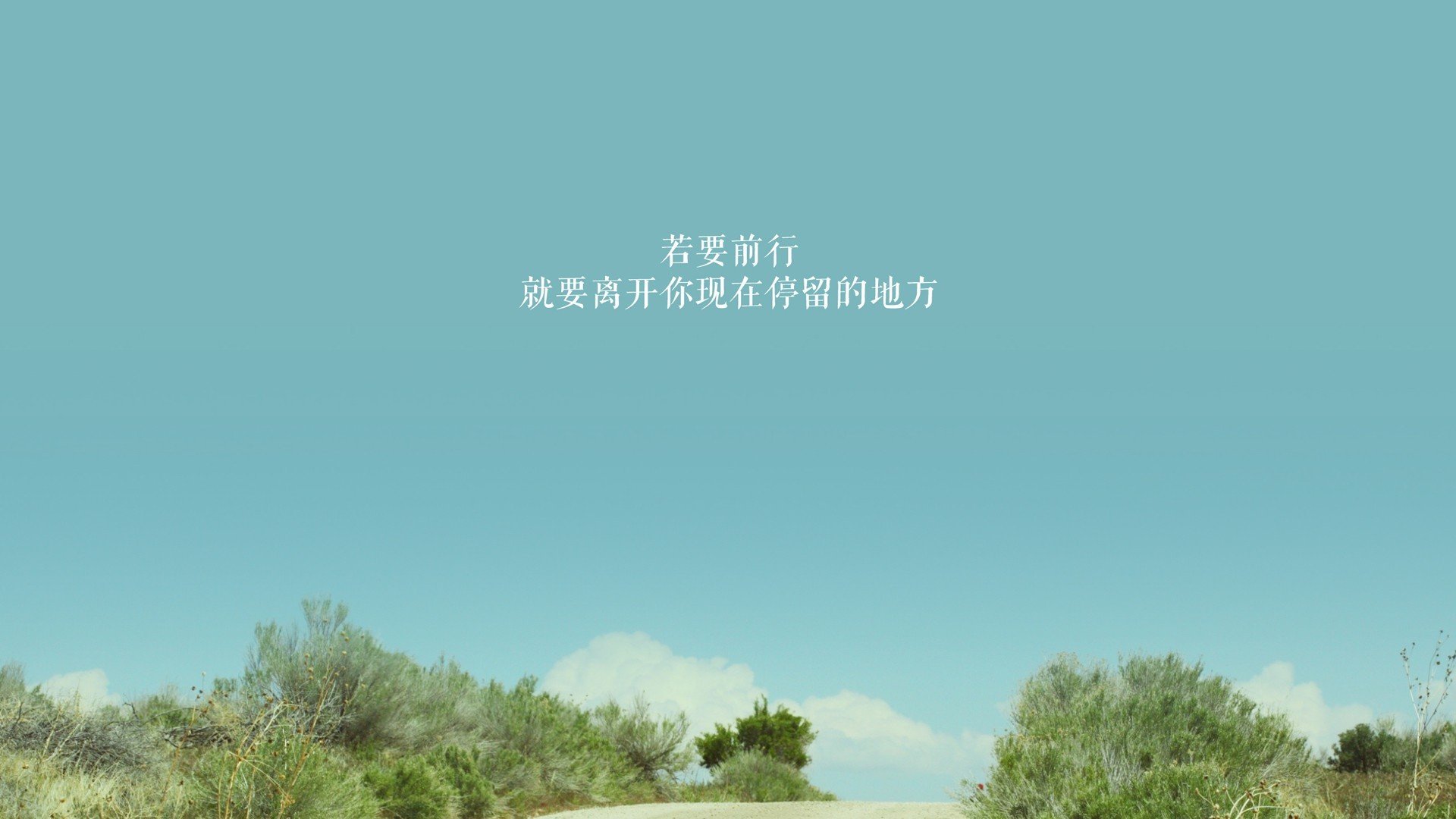 (三个备选方案)