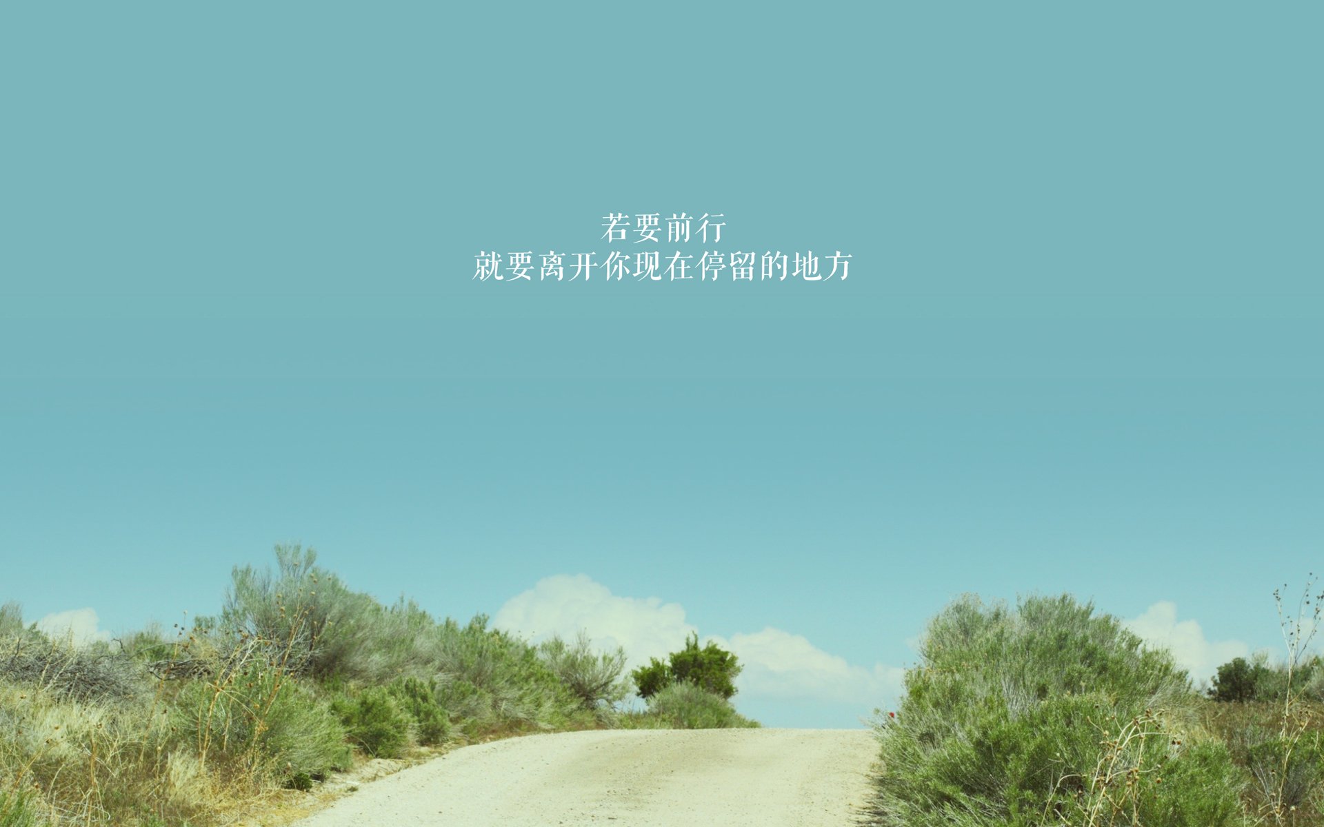 (拓展思维版)
